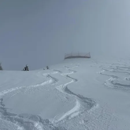 Schirli Dachgeschoss Διαμέρισμα *