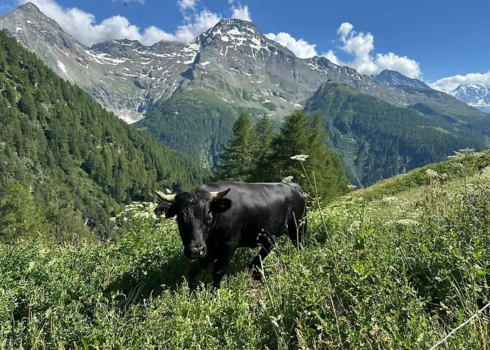Schirli Dachgeschoss