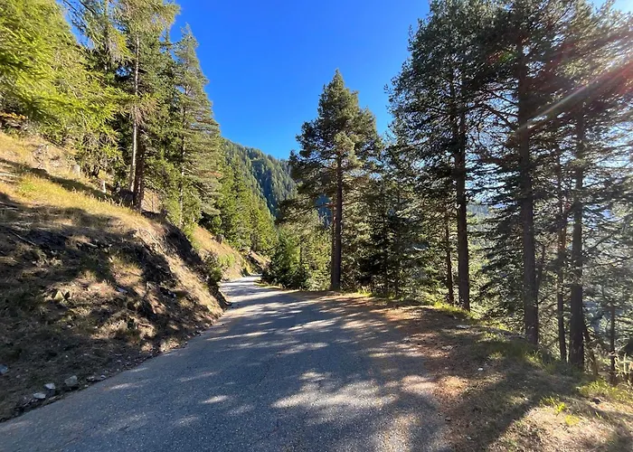 公寓 Schirli Dachgeschoss Rosswald