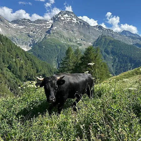 Schirli Dachgeschoss